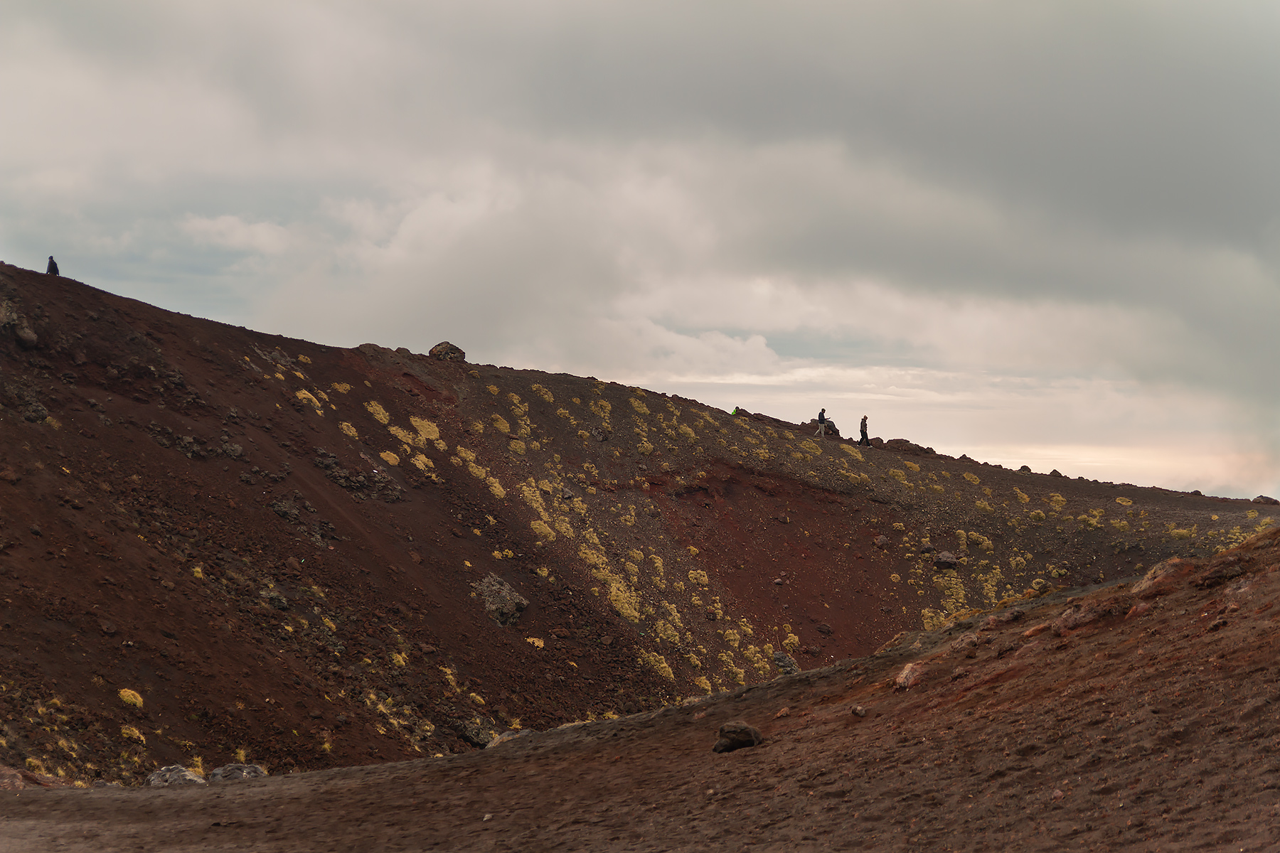 Etna crateri silvestri