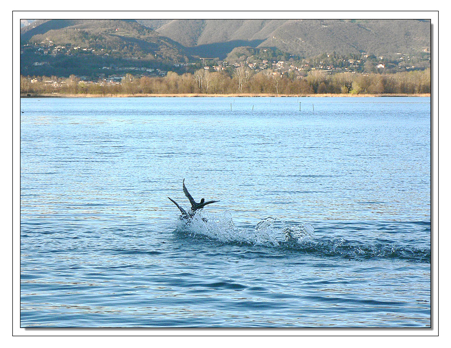 giochi in acqua