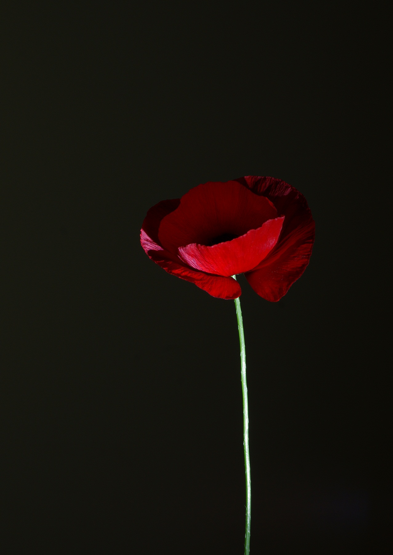 s.t.