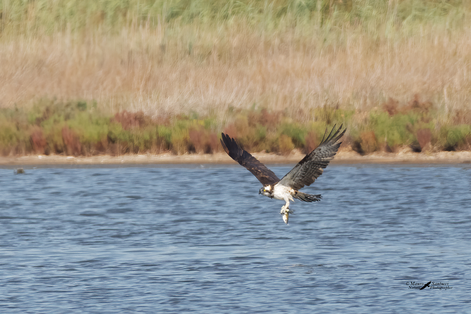 Il-pescatore-7_DSC6963