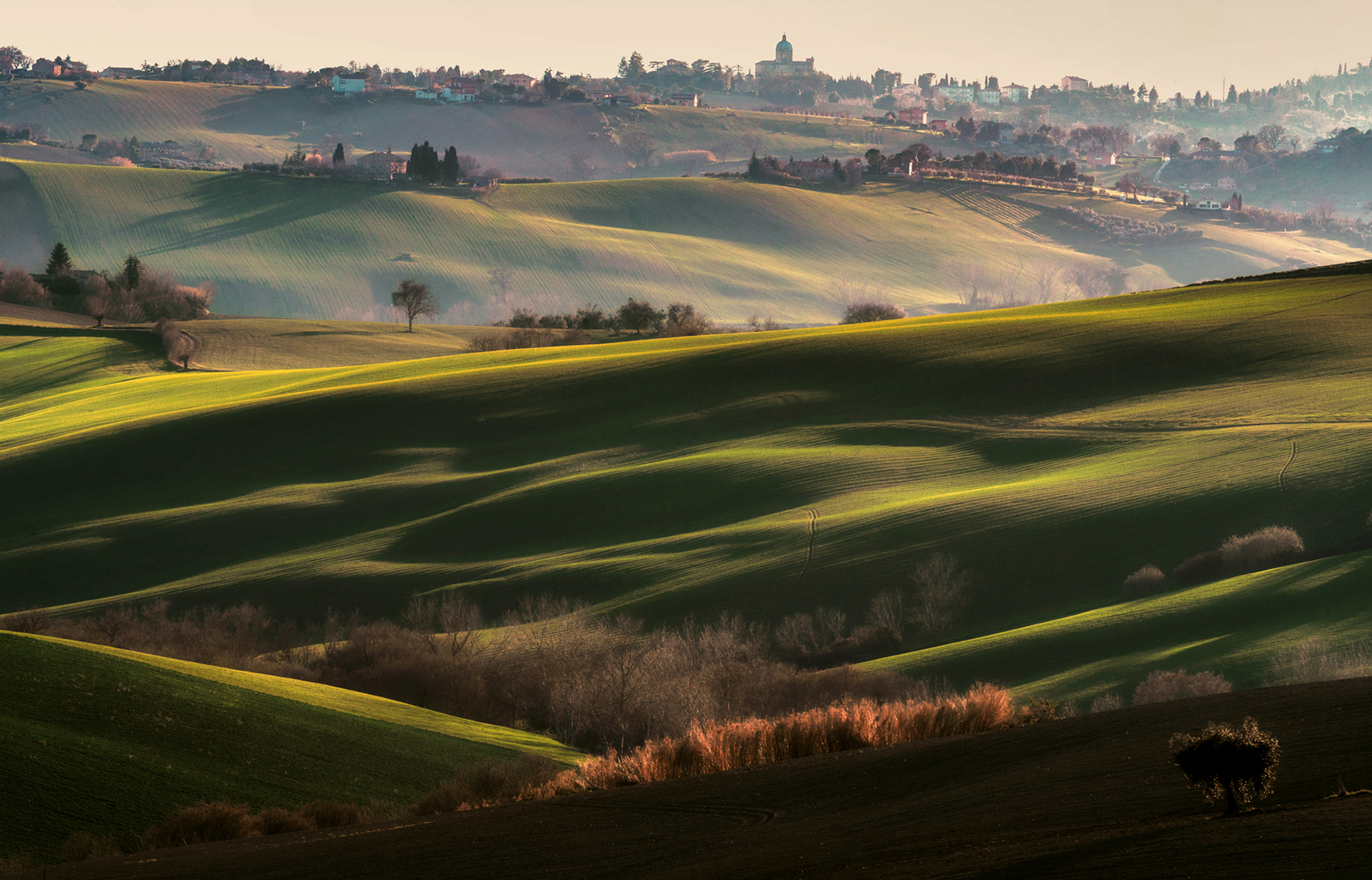 Luci ed ombre sulle colline