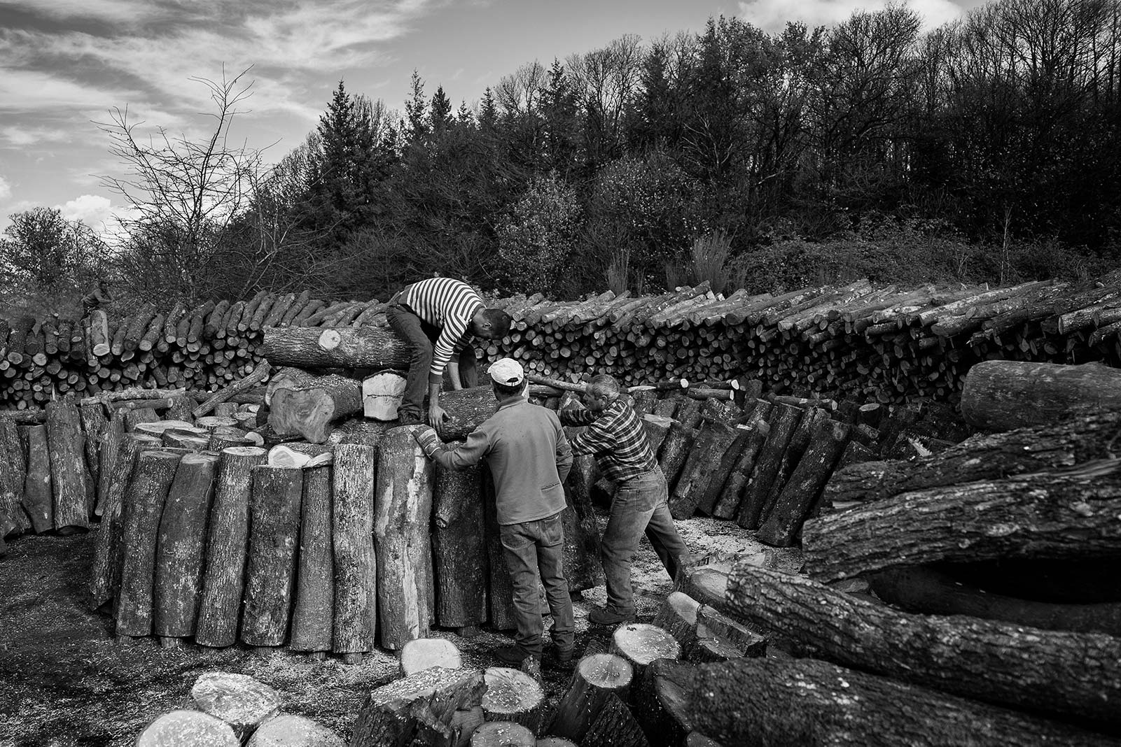 La costruzione della carbonaia - parte prima