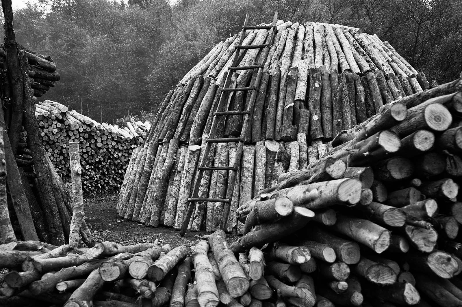 La costruzione della carbonaia - parte prima