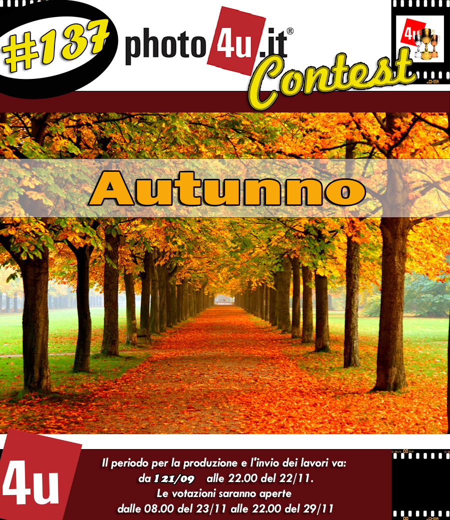 137 Contest: Autunno
