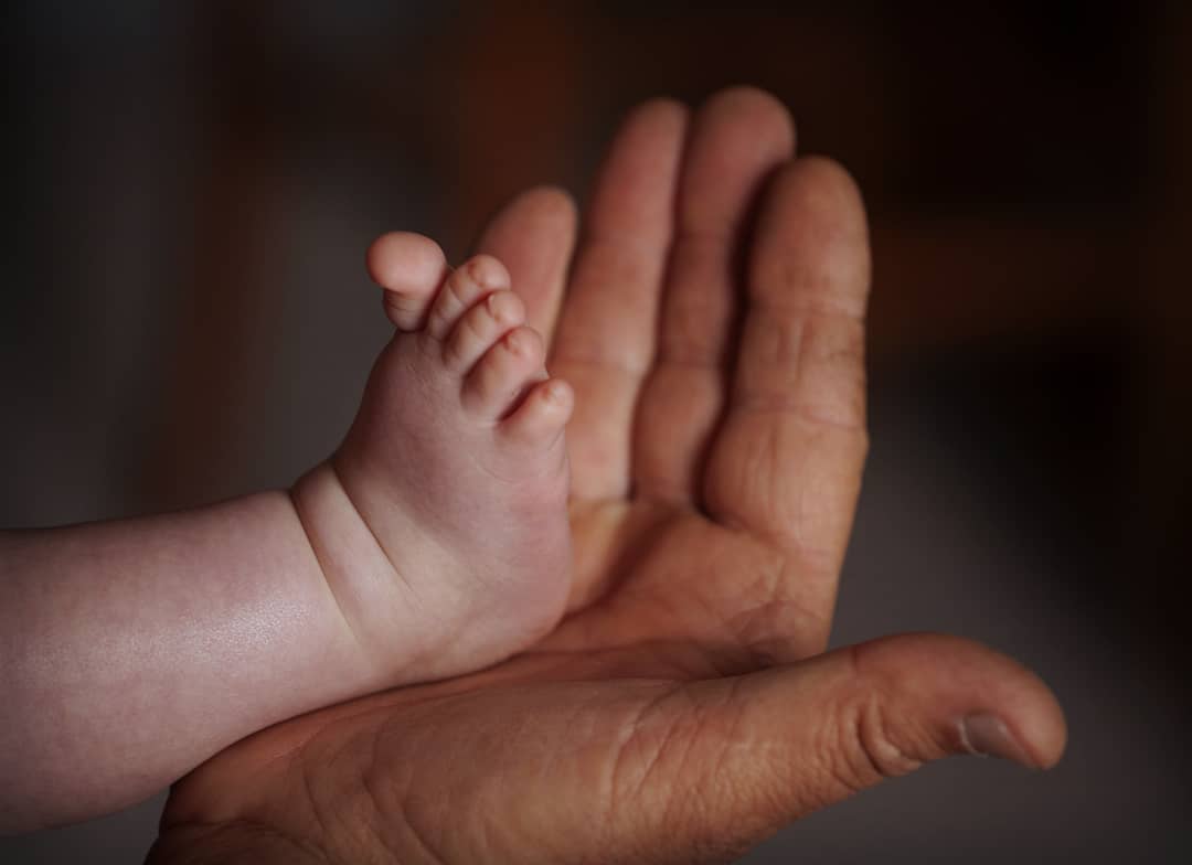 piedi
