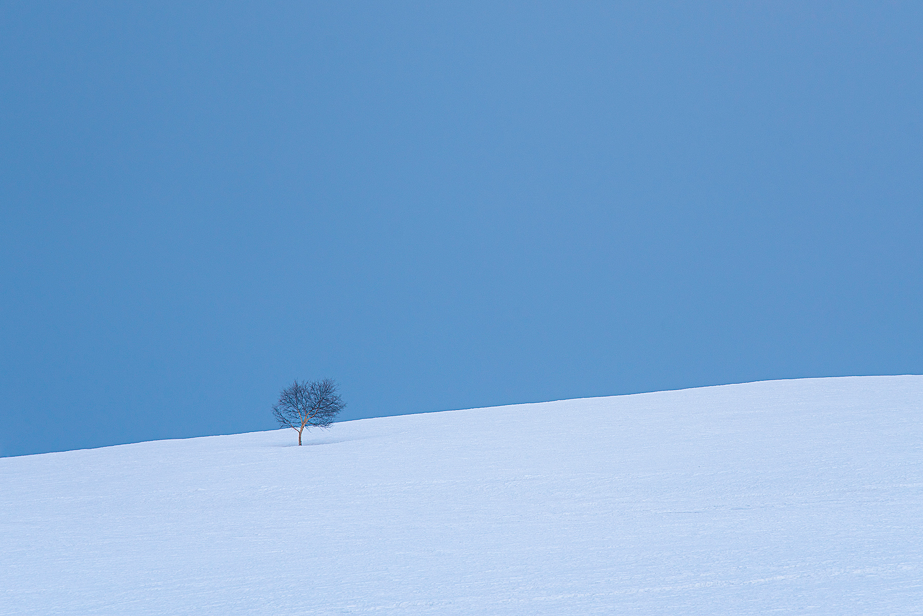 La solitudine  ascoltare il vento e non poterlo raccontare a nessuno