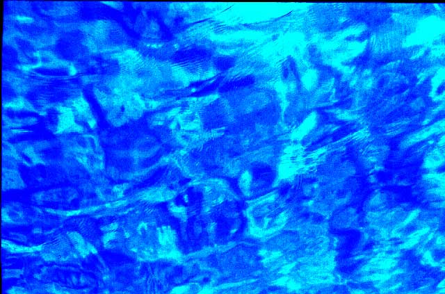 azzurro