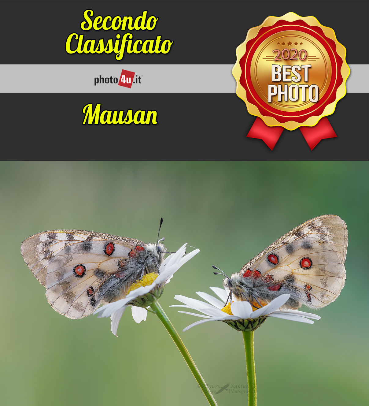 1015 Contest: La nostra foto migliore del 2020 su photo4u.it