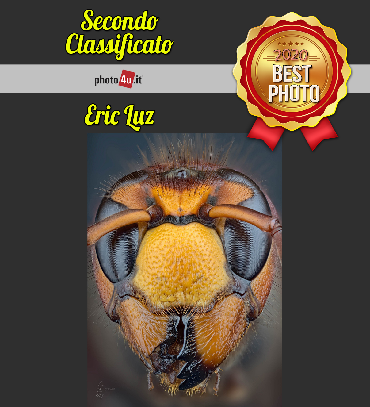 1015 Contest: La nostra foto migliore del 2020 su photo4u.it