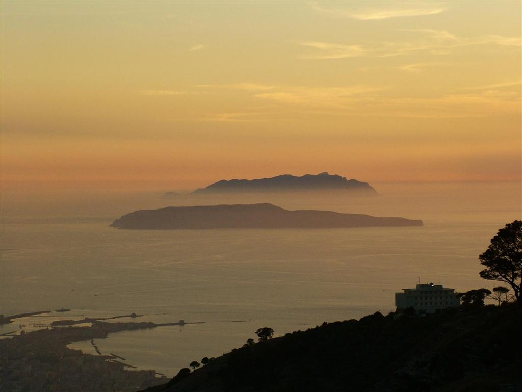 Trapani