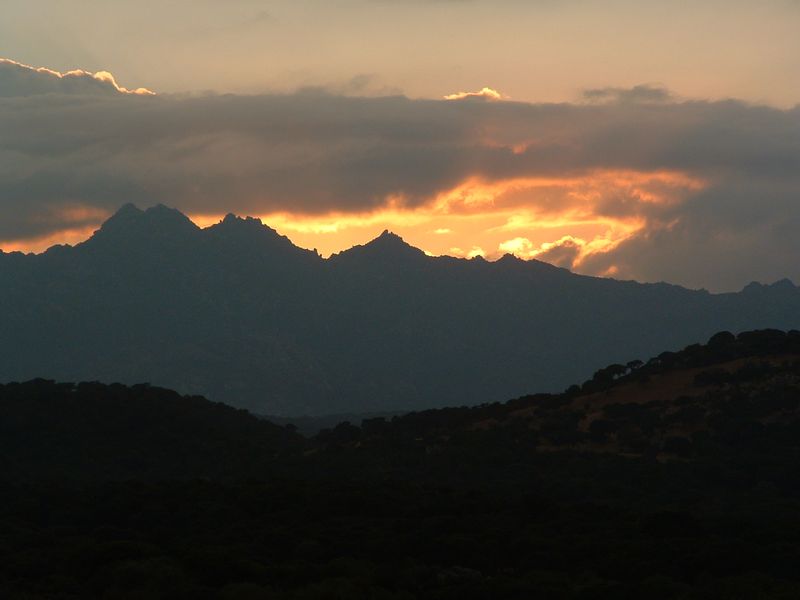 monti