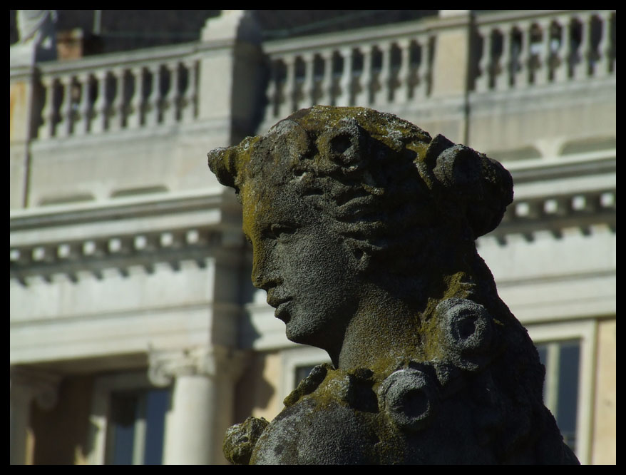 villa olmo