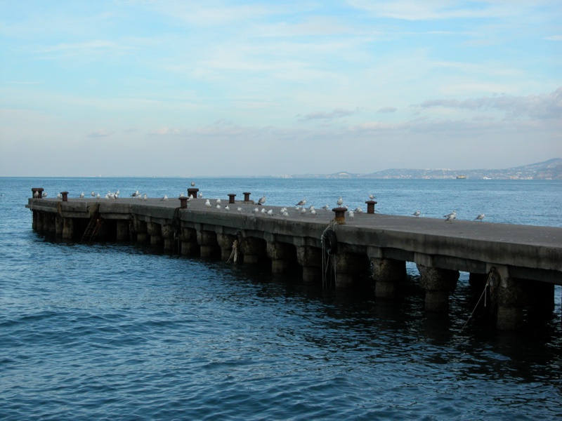 Pontile & Gabbiani