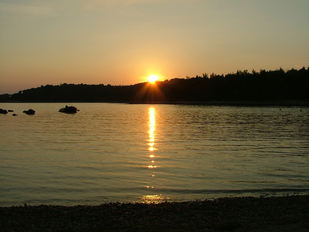 DSCF2045