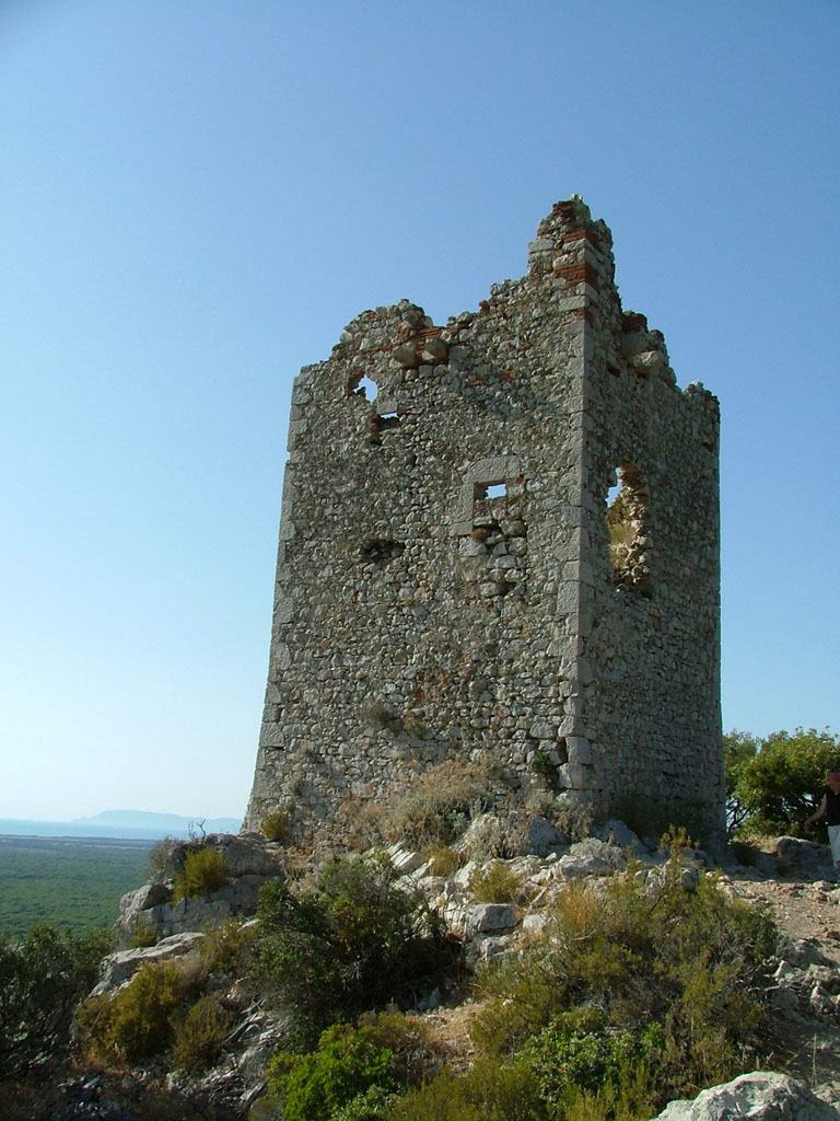 DSCF0844