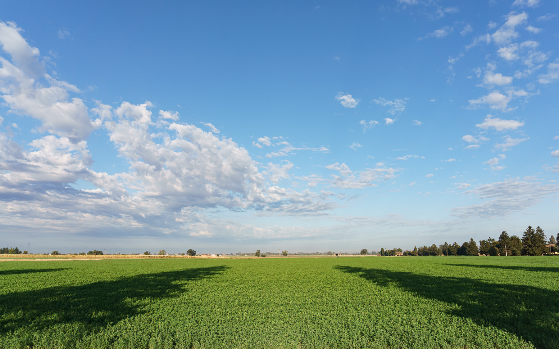 Campo,con le nuvole /2