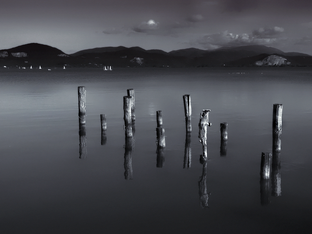 Lago di Massaciuccoli (di onaizit8)