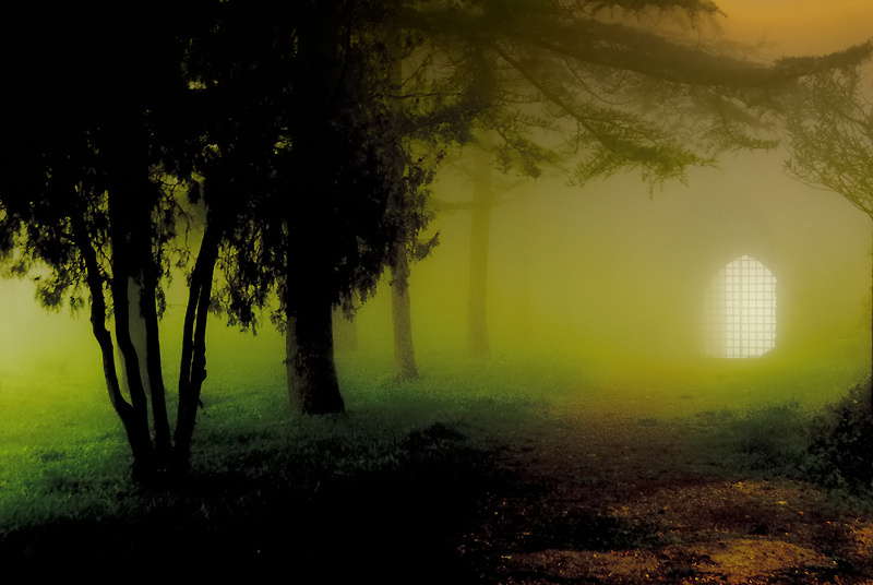Nebbia II