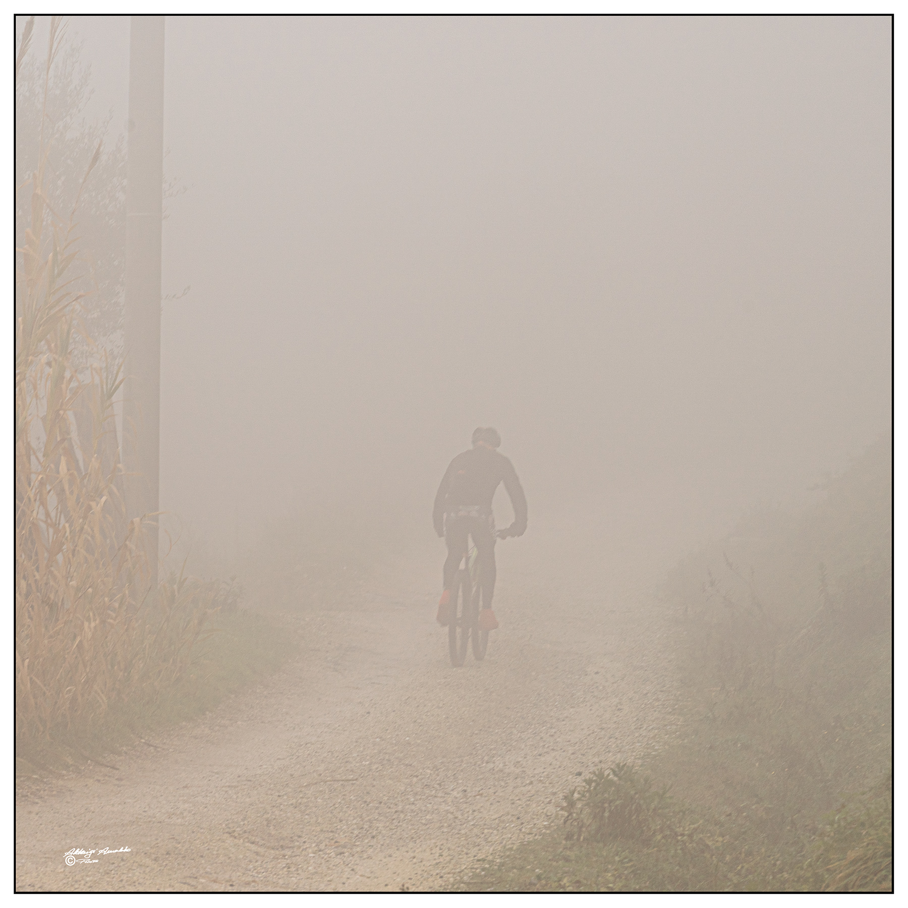 Il ciclista..e la nebbia..