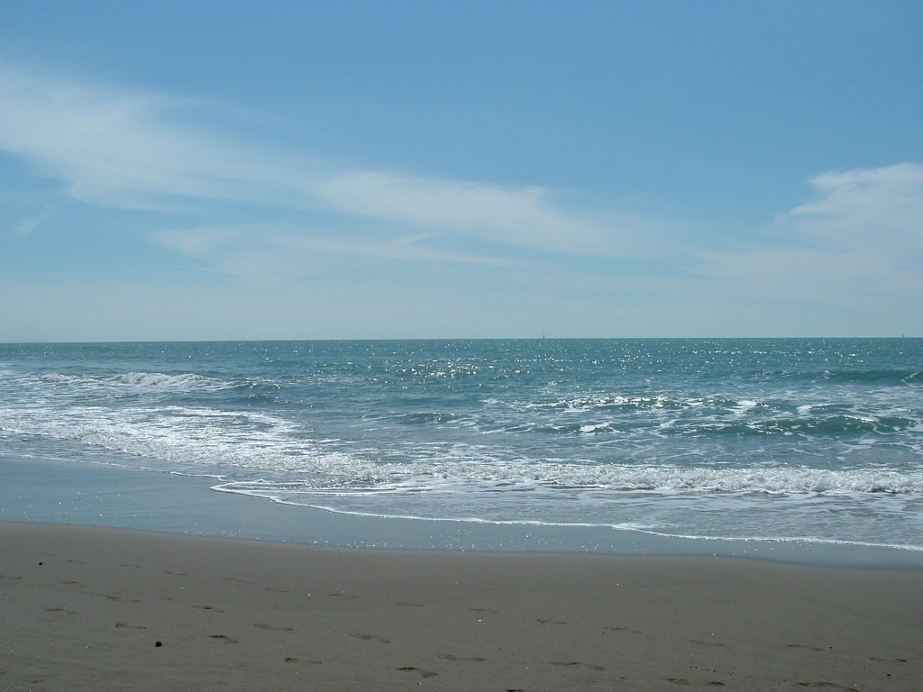 mare