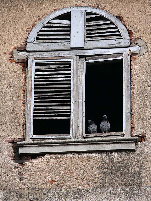 Guardando dalla finestra