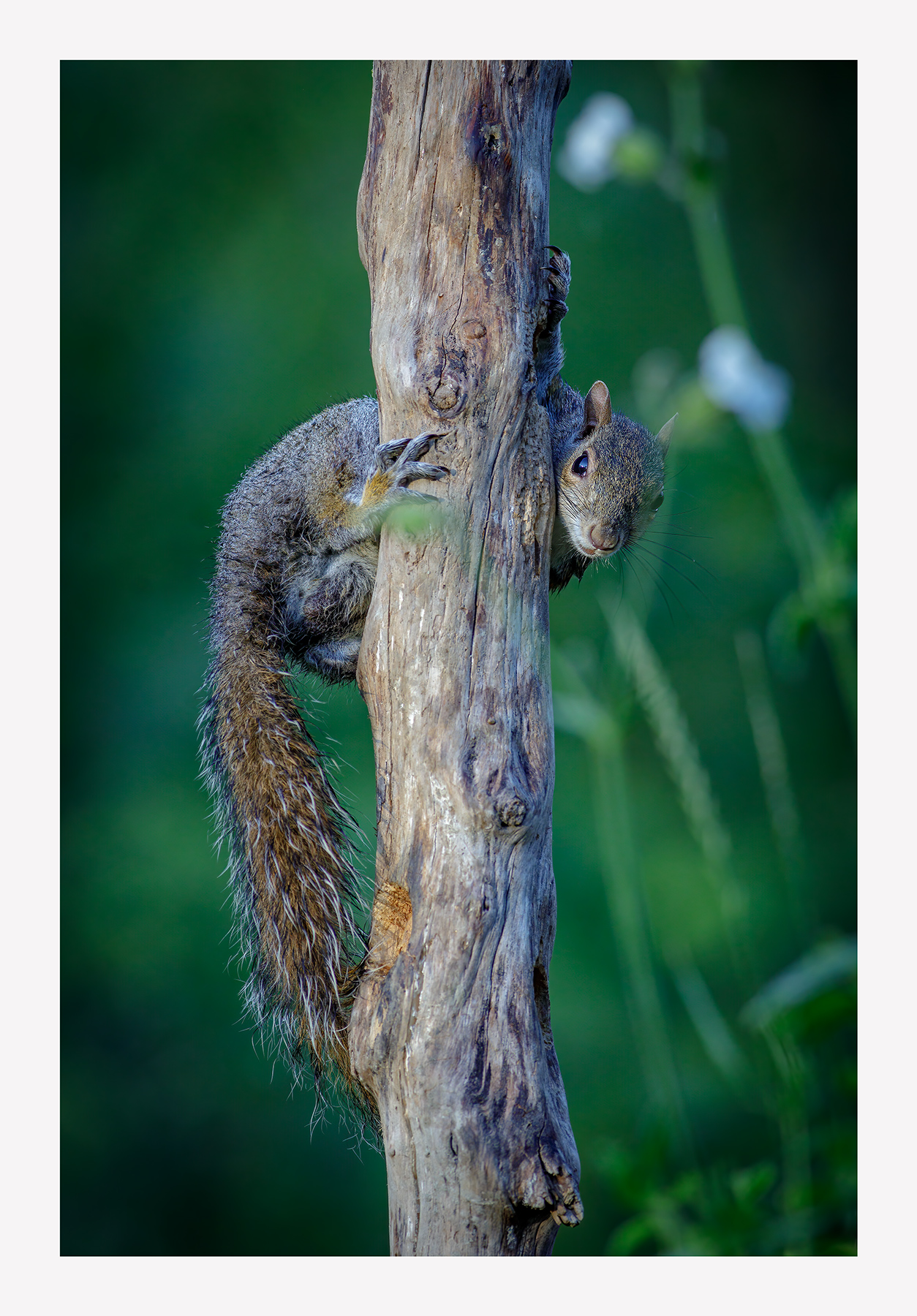 arrampicata
