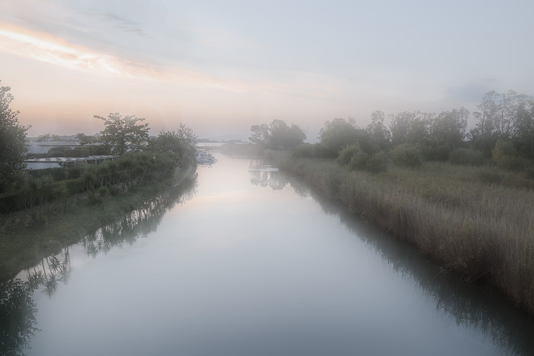 Nebbia alla foce