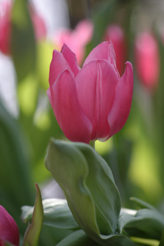 test 2