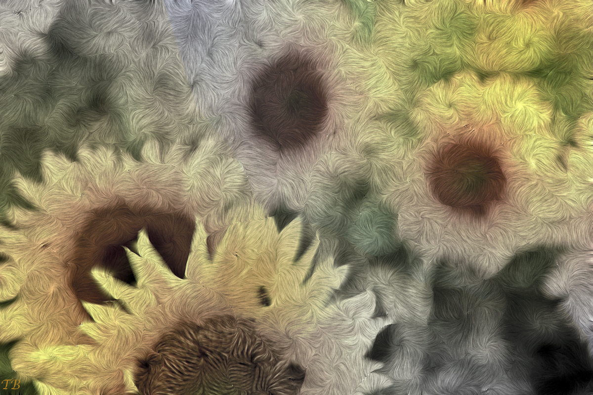 Girasoli - Van