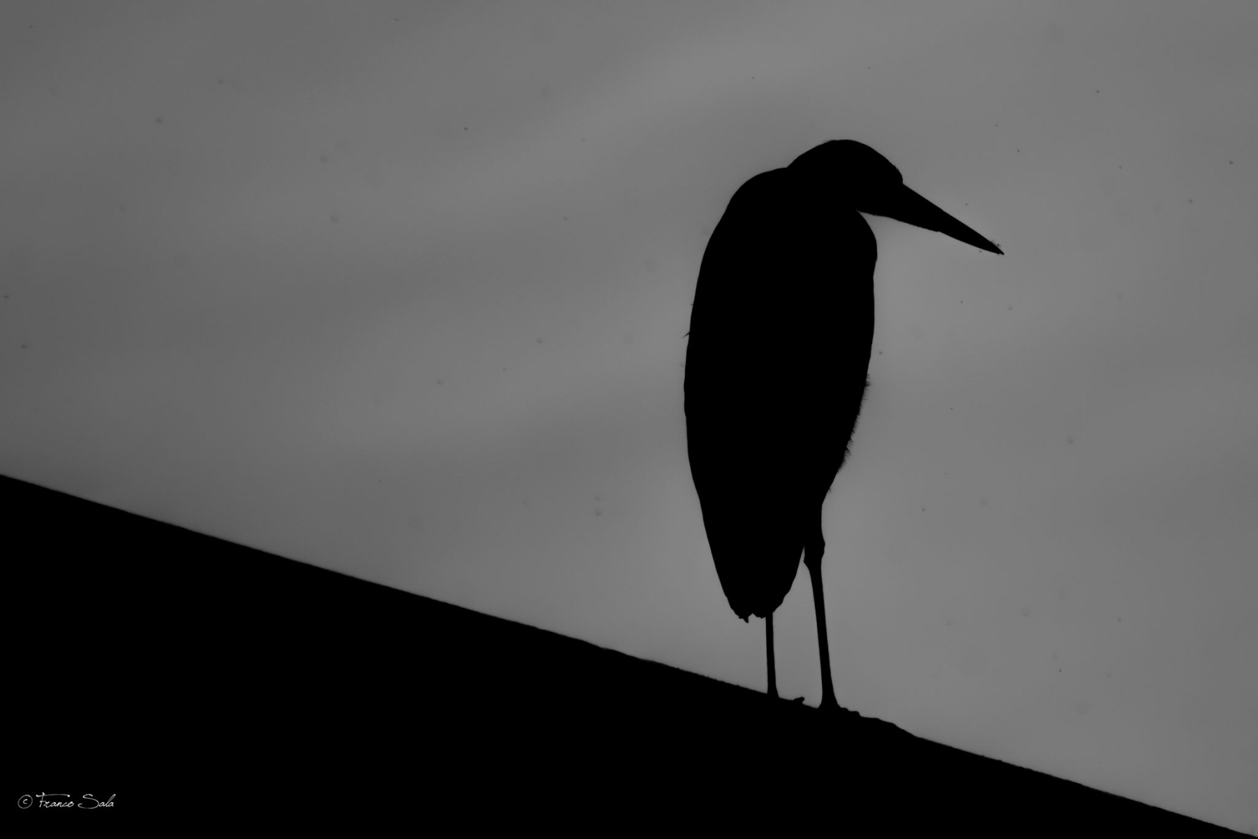 La sentinella