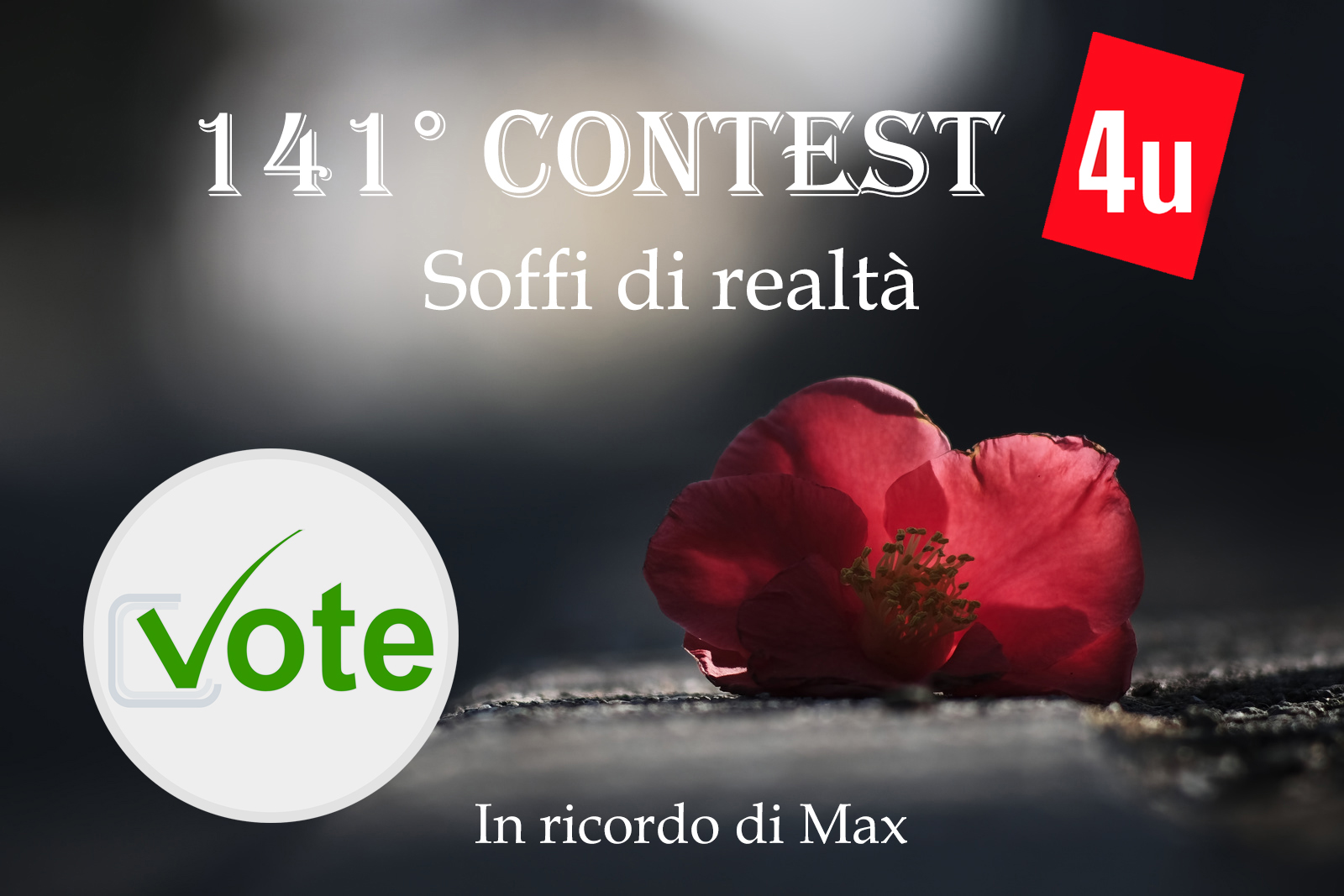 141 Contest SOFFI DI REALTA' - Votazione Aperta