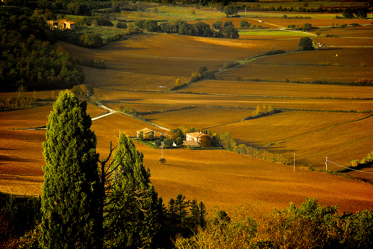 Alba a Casole D'Elsa