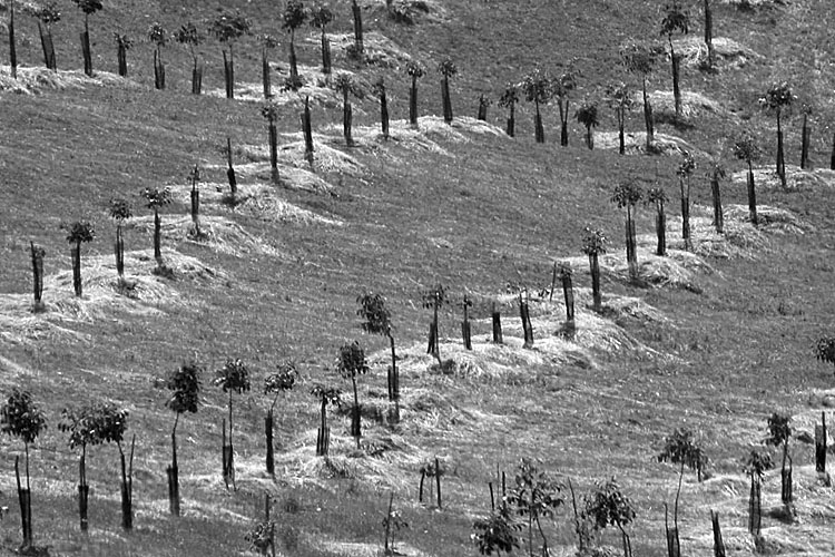 Castell'Azzara
