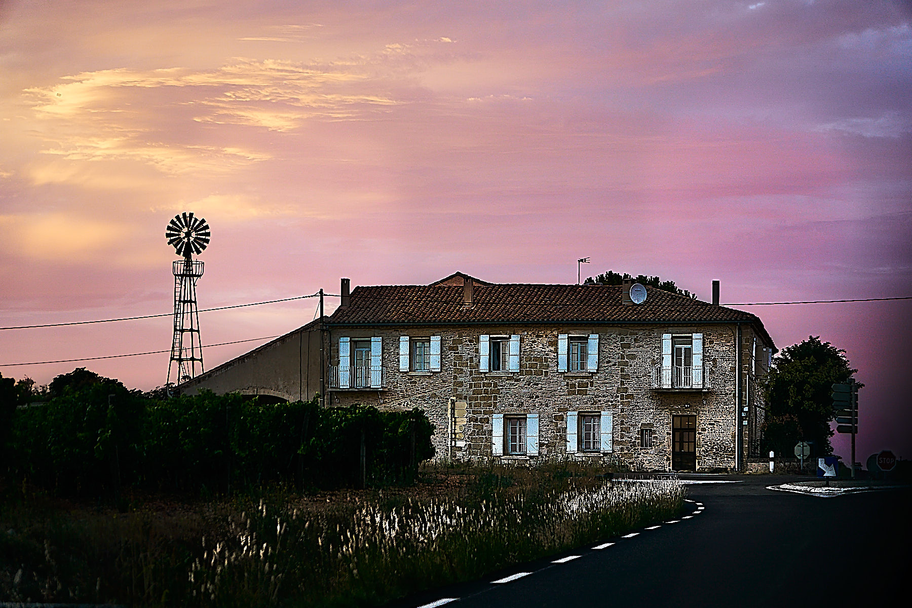 camargue2