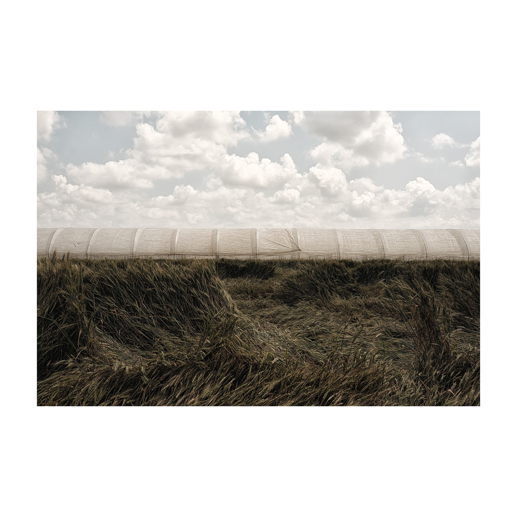 Dalla strada - Linea di Orizzonte