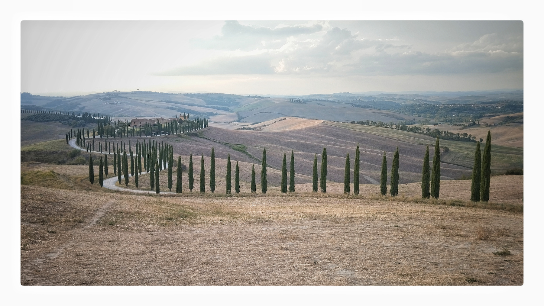 Baccoleno