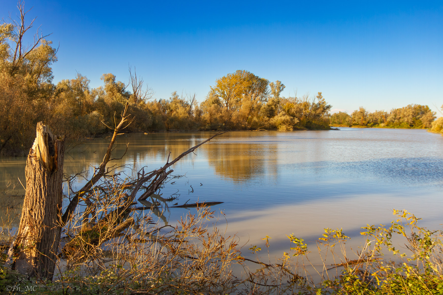 Fiume Brenta