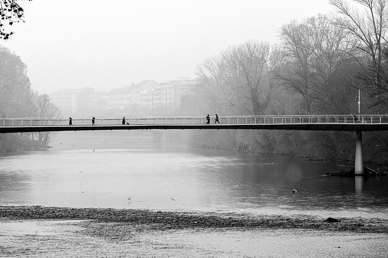 Il ponte in inverno