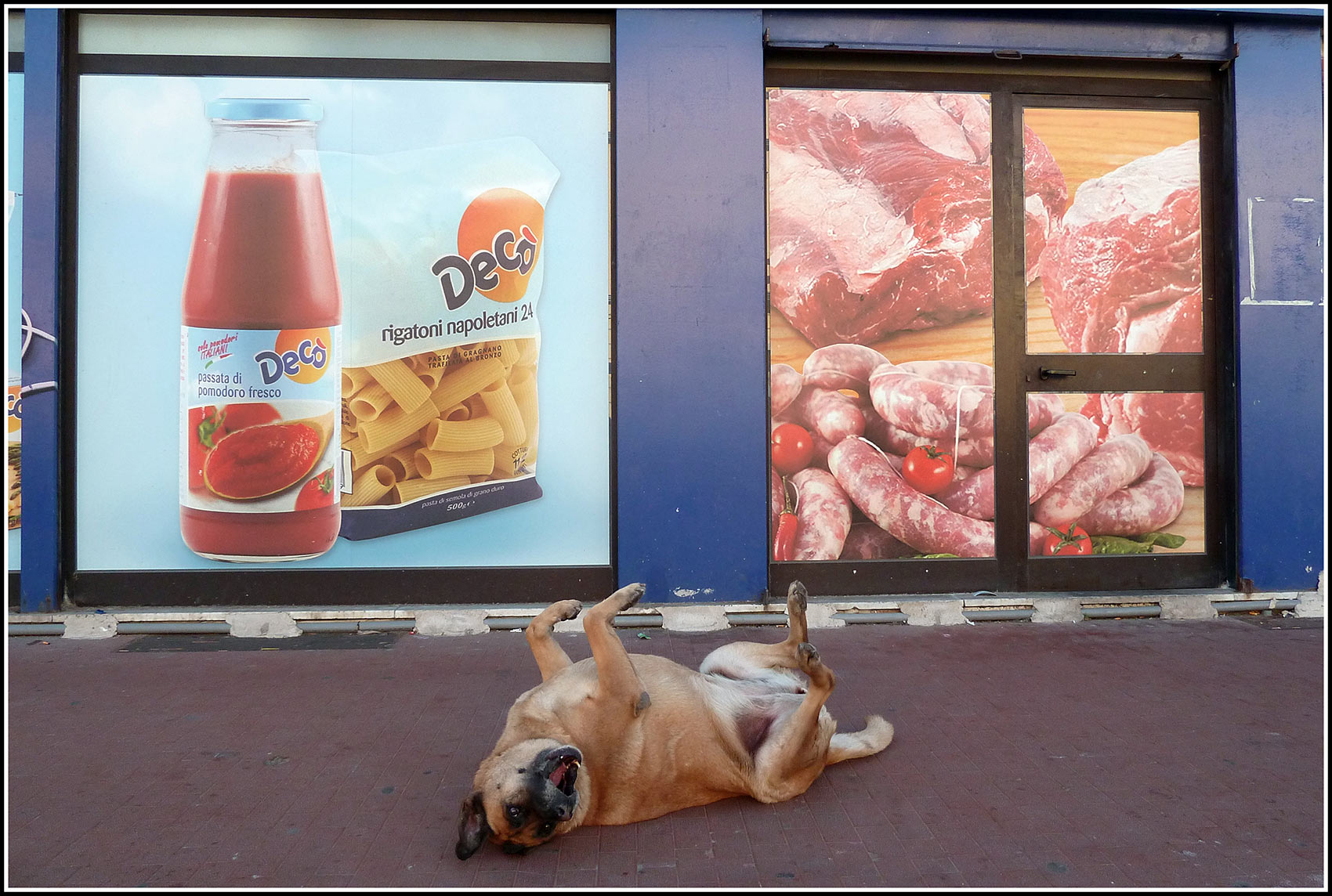 arf (di nerofumo)