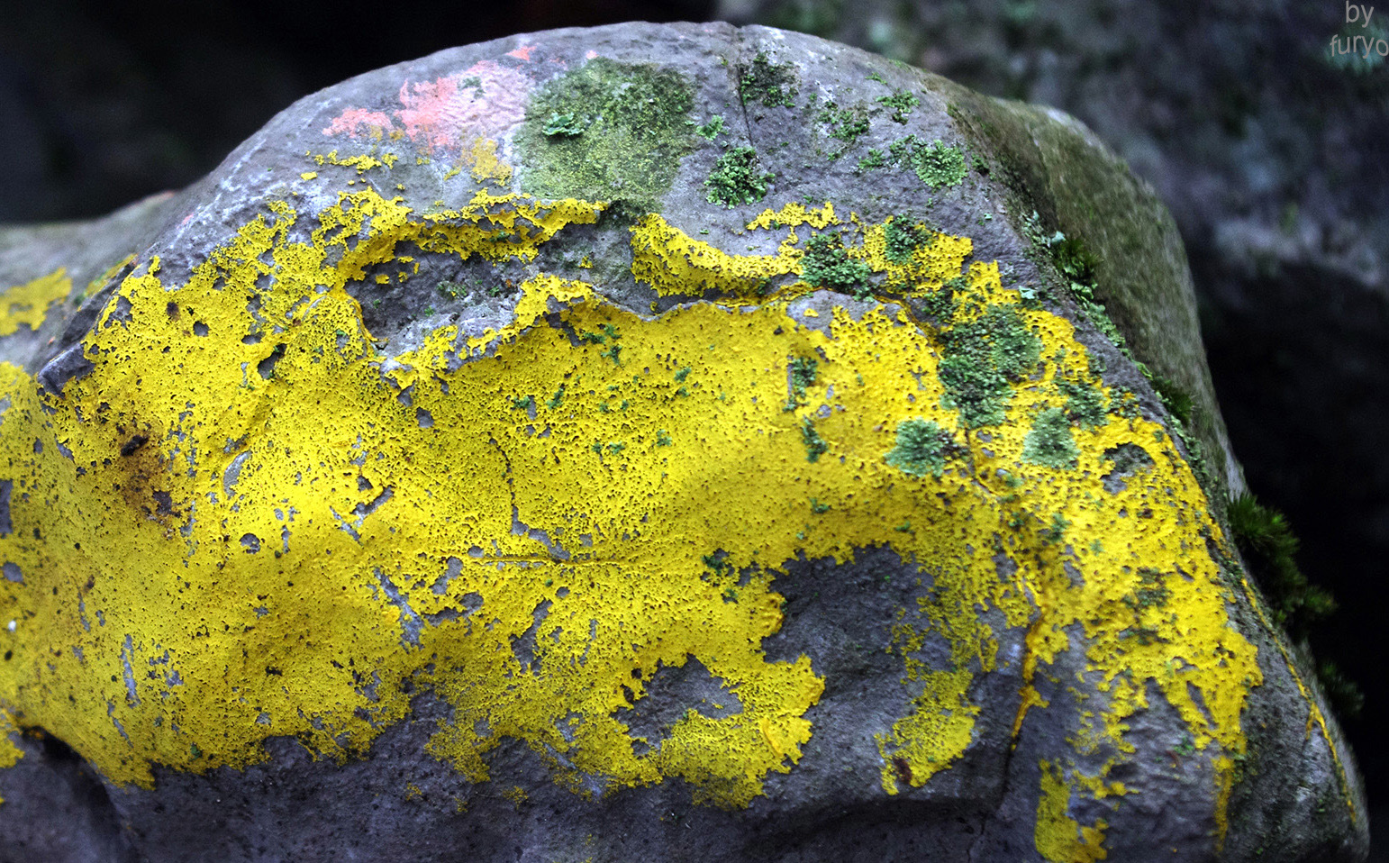 United Colors of Nature United Colors of Nature