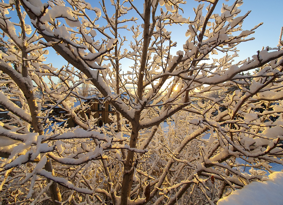 neve . 2