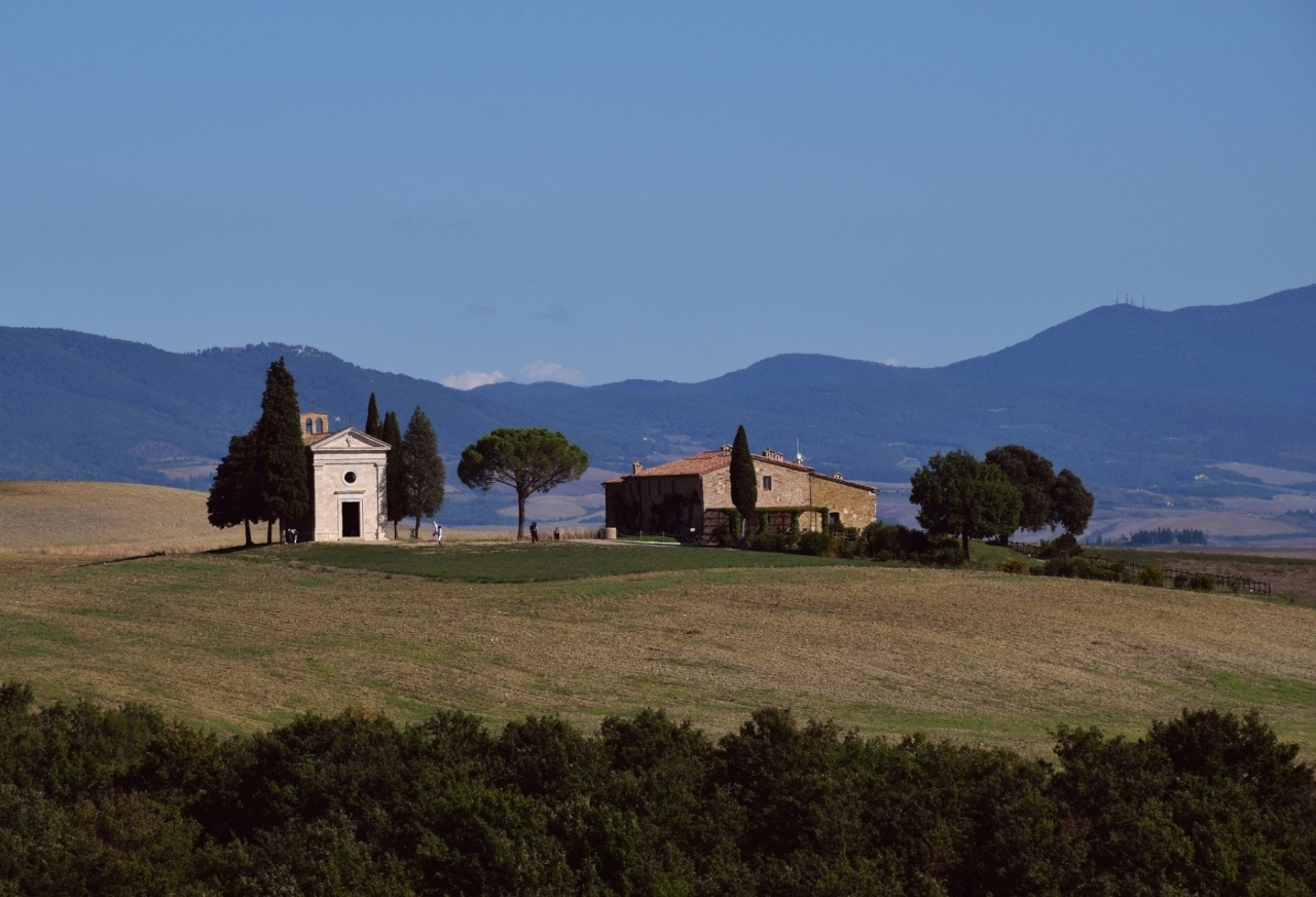 Vitaleta