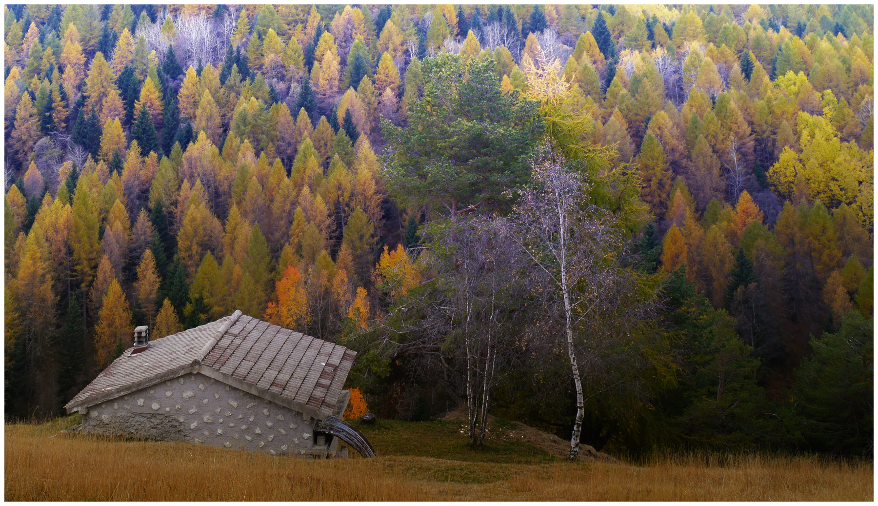 Baita solitaria all'Alpe Alba autunnale, Monte Pasubio
