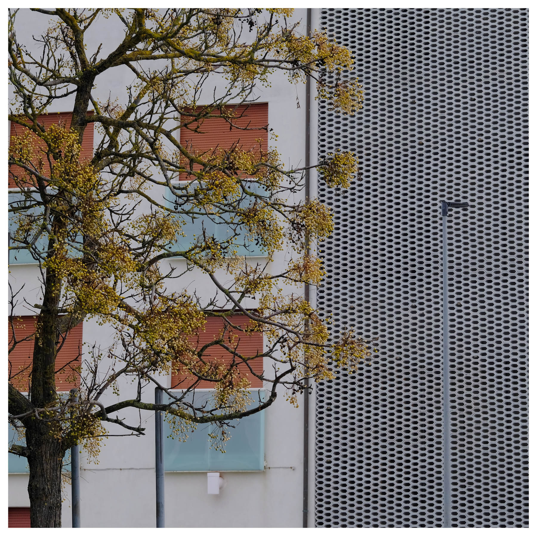 Pezzi di architettura 5