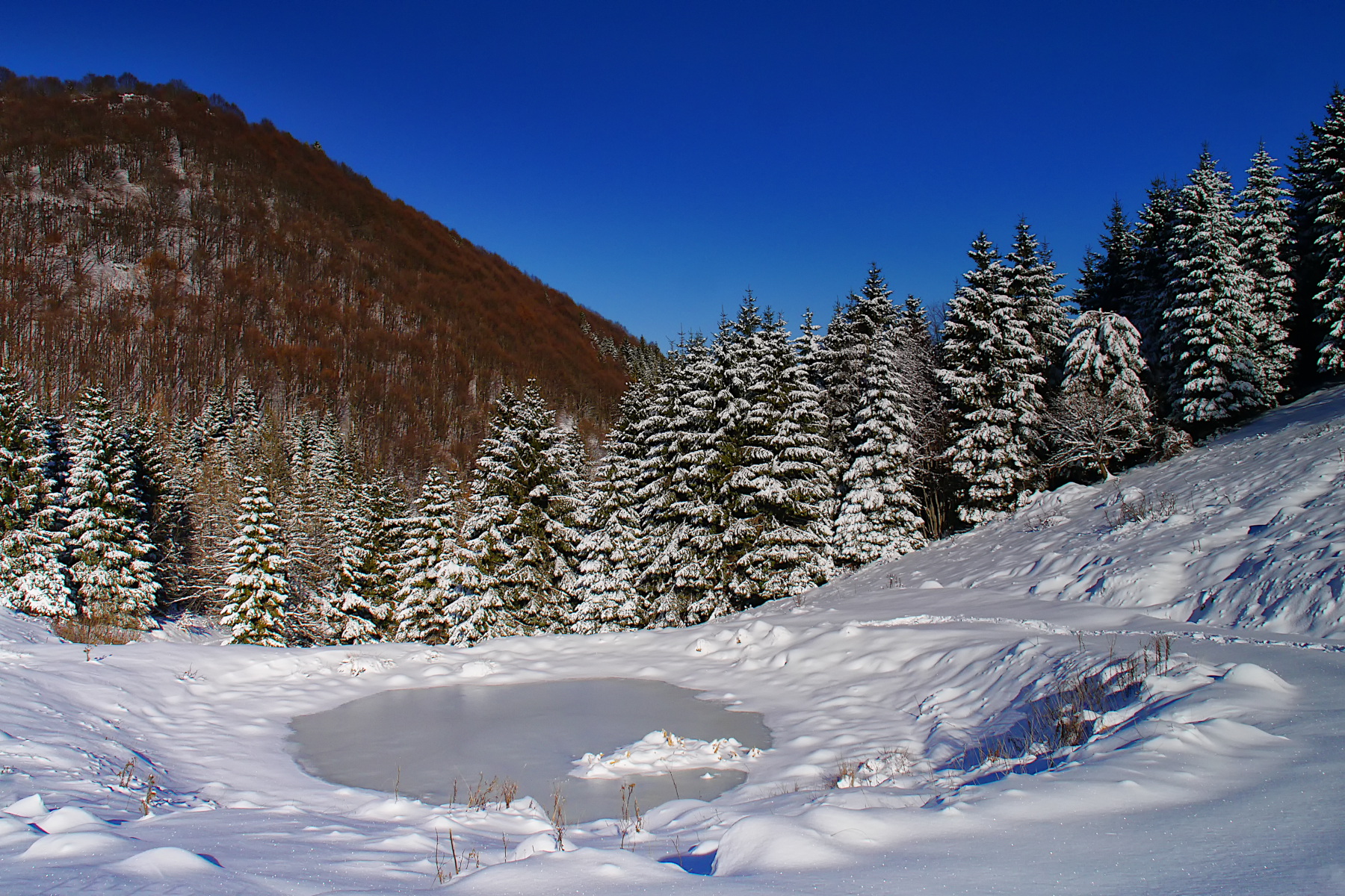 Inverno novembrino sul Monte Novegno