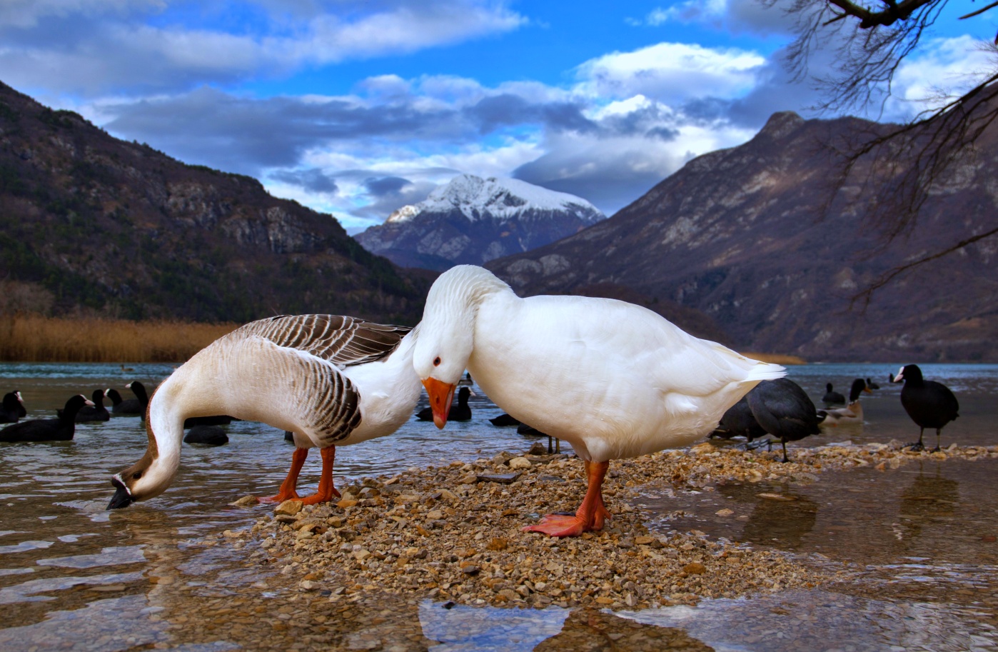 Lago di Cavazzo
