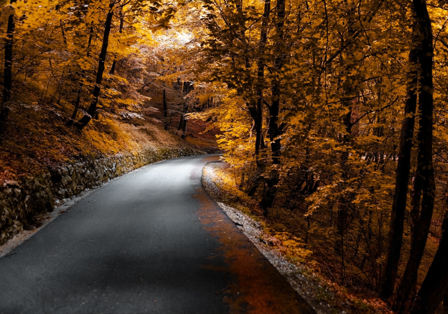 La strada per Fusine
