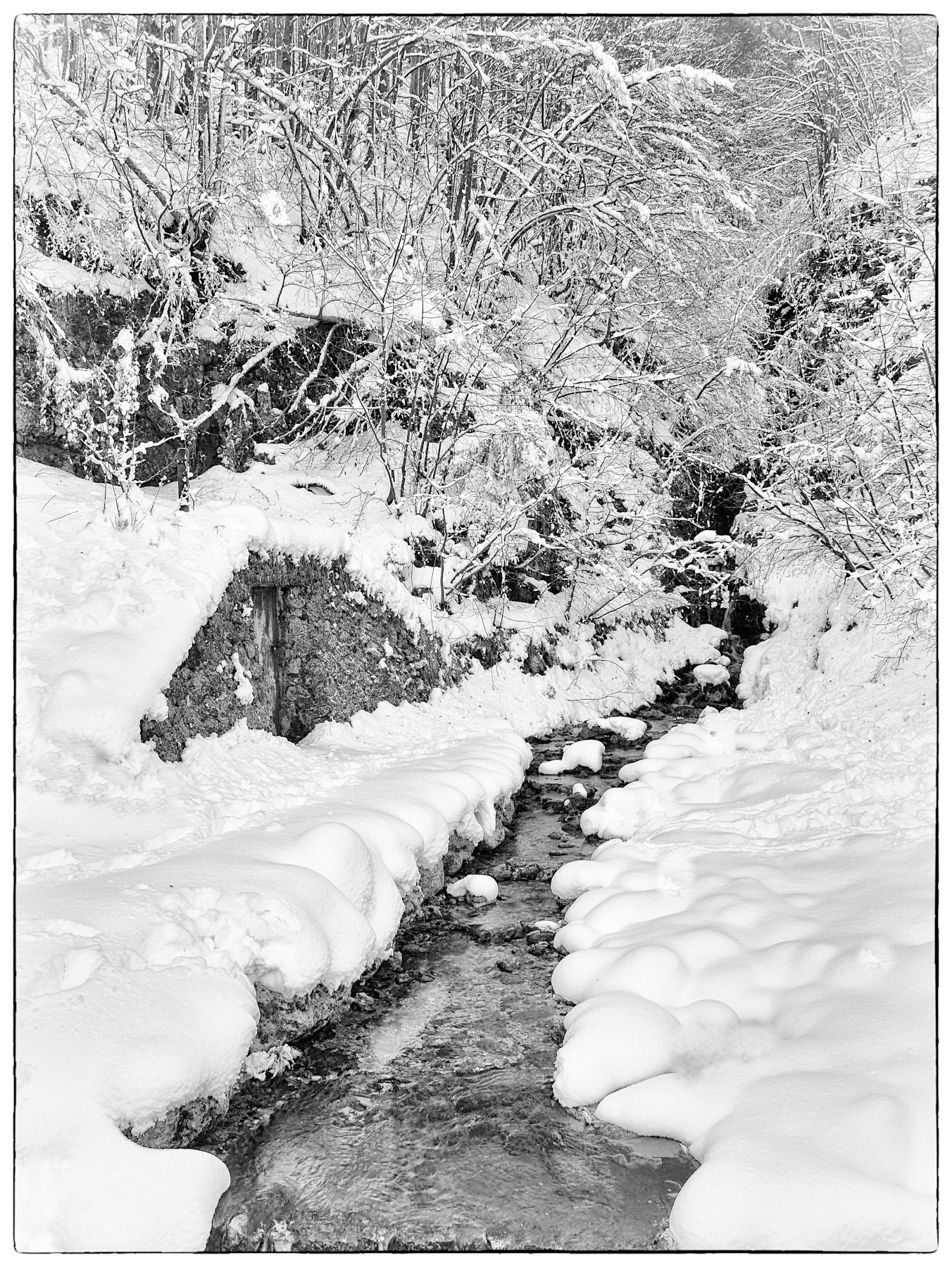 torrentello nel gelido invernale