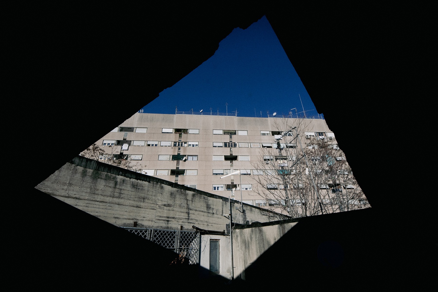 VigneNuove_Dic2025_1