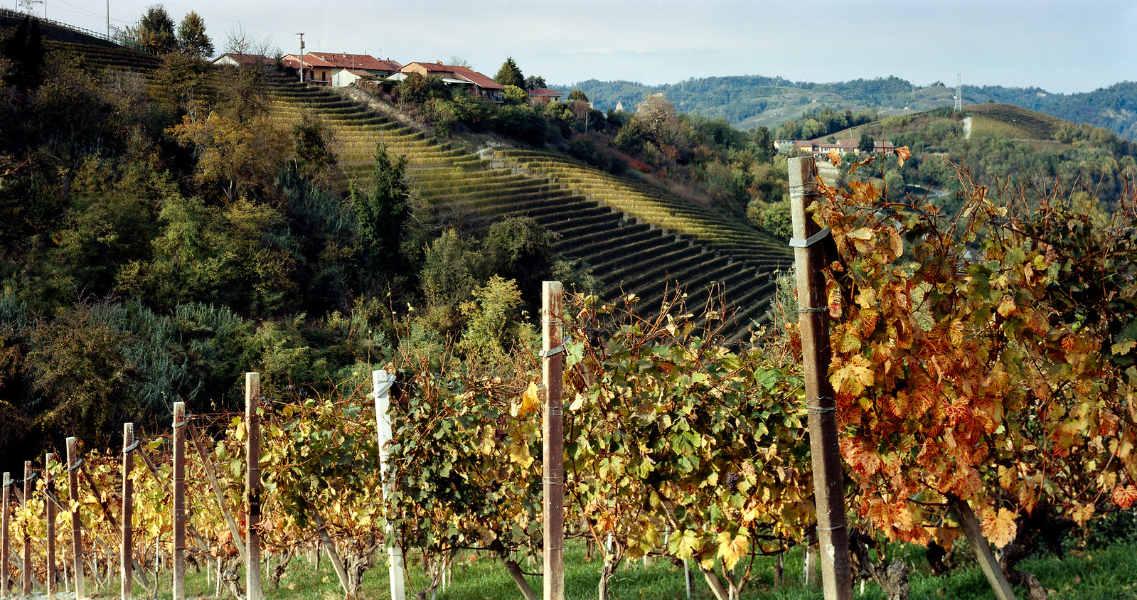 Intrepid 4x5 | Kodak Ektar
